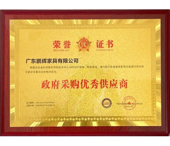政府采購優(yōu)秀供應(yīng)商